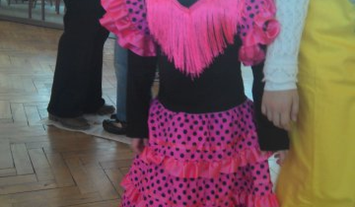 6. fotografia fotogalérie Karneval 2015