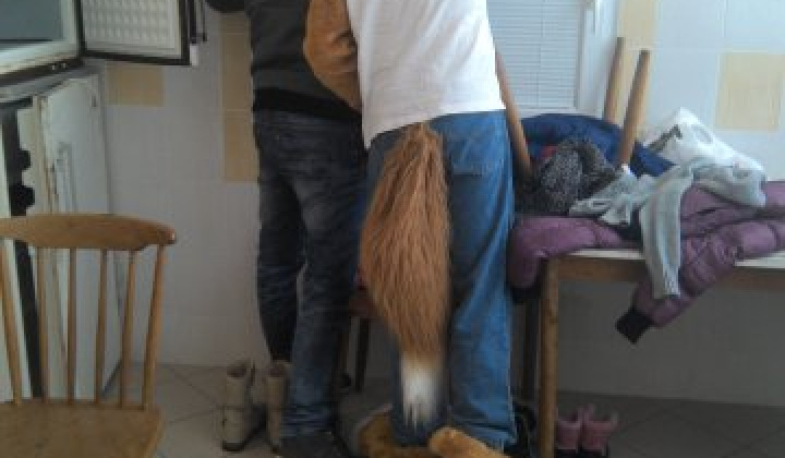 9. fotografia fotogalérie Karneval 2015