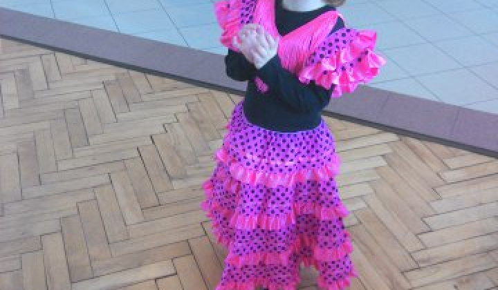 13. fotografia fotogalérie Karneval 2015