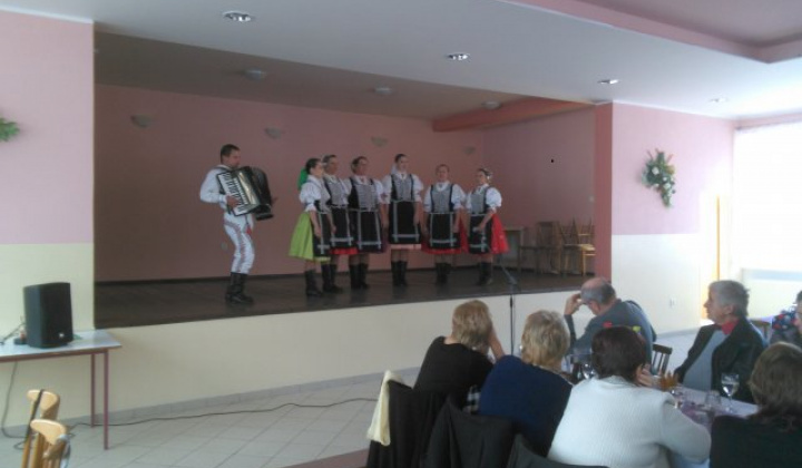 11. fotografia fotogalérie Posedenie s dôchodcami 2016