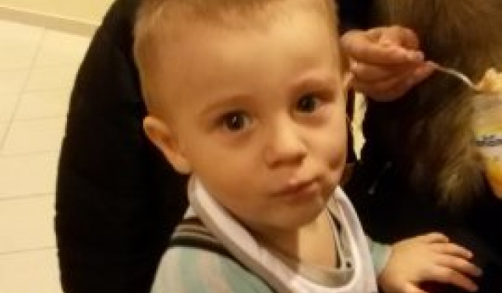 2. fotografia fotogalérie Obecná zabíjačka 2016