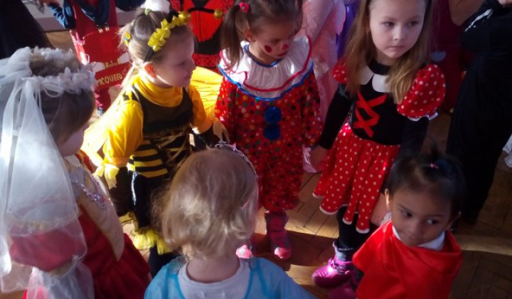 12. fotografia fotogalérie Karneval 2018